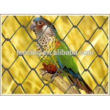 Chicken/Hexagonal Wire Mesh for bird